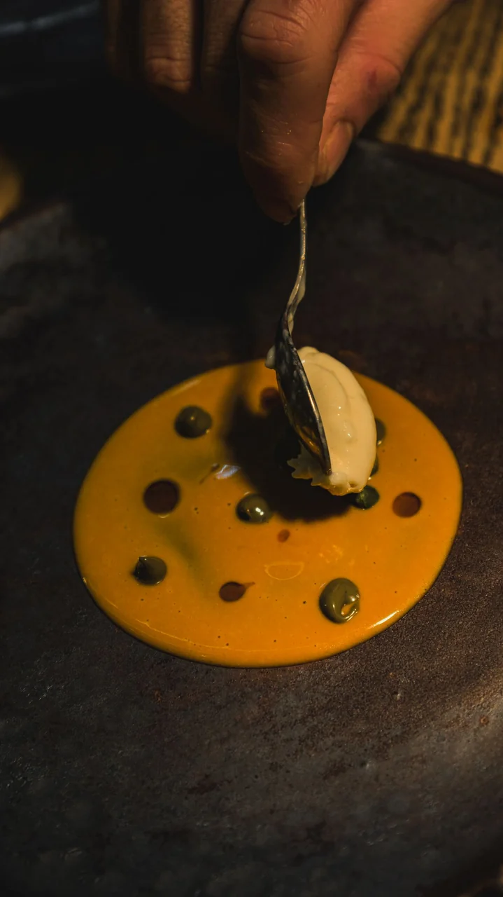 Artistic dessert presentation with dark chocolate and berries